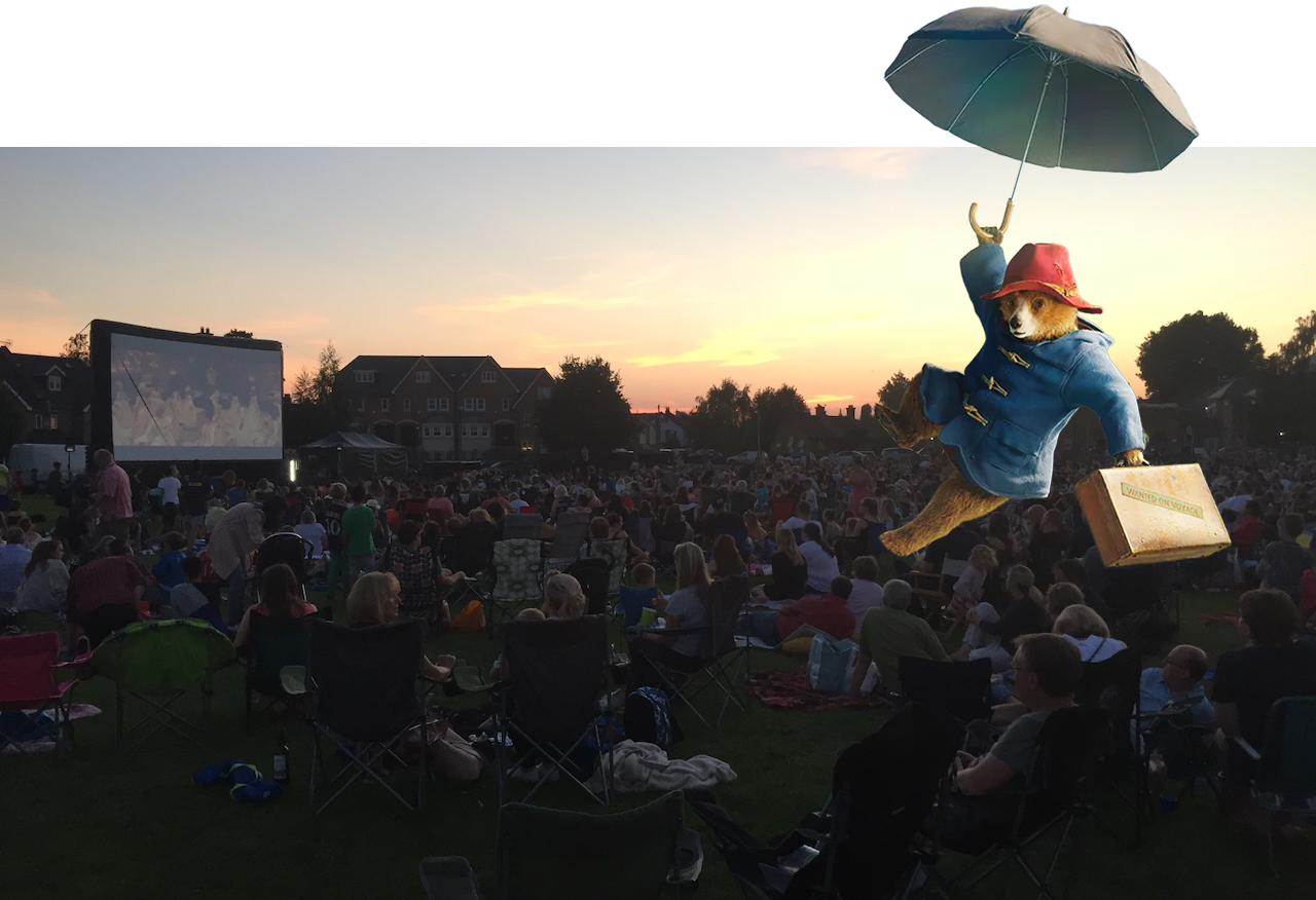 Screen on Hampton Green needs your financial support